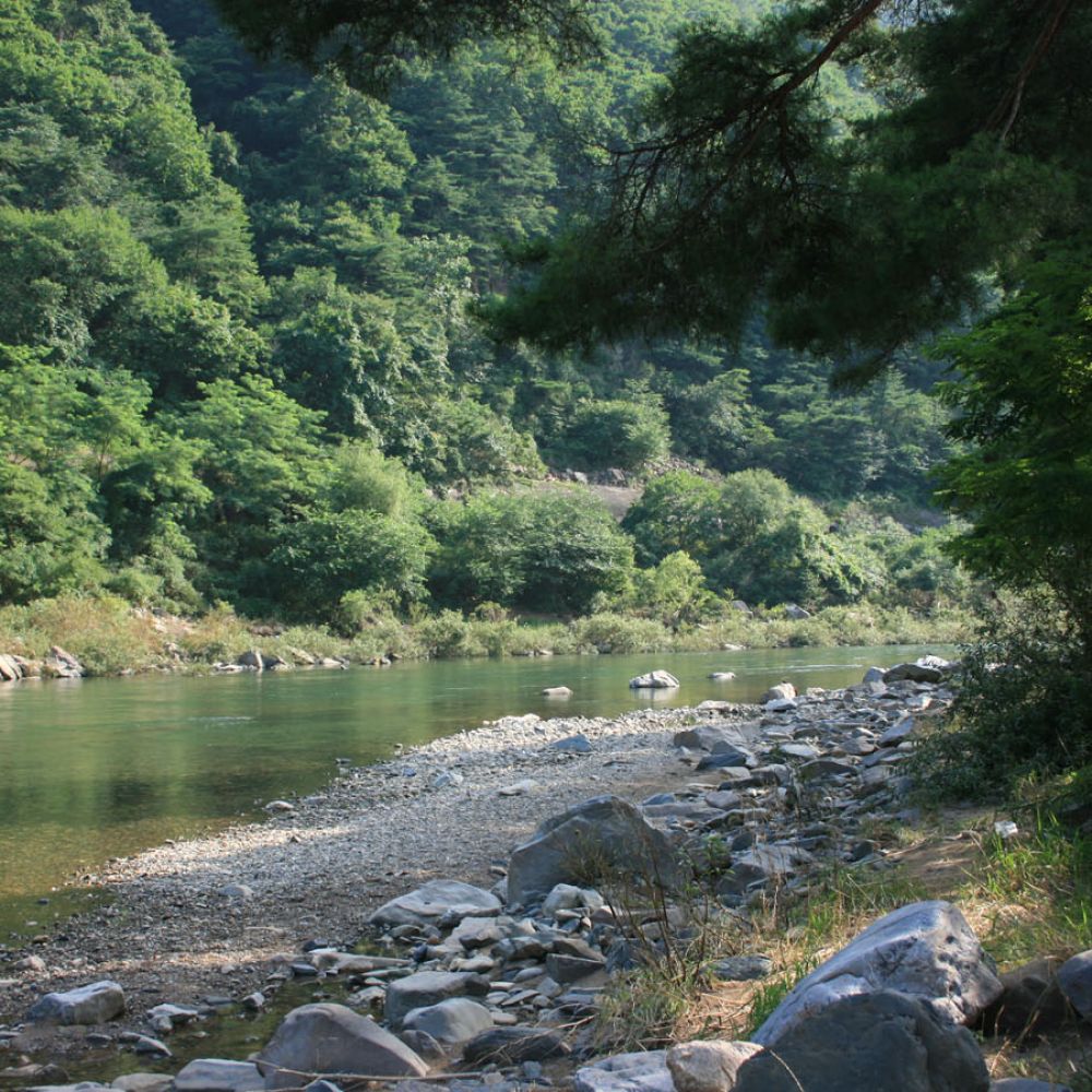 주변전경