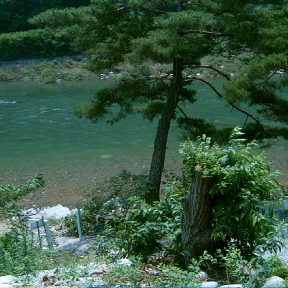 주변전경