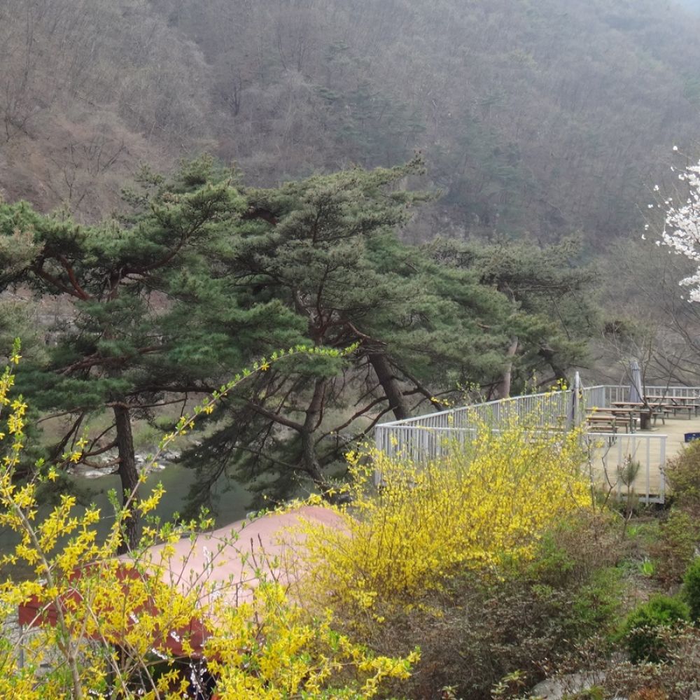 외부전경