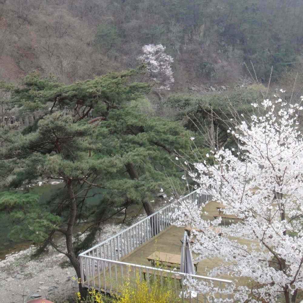 외부전경