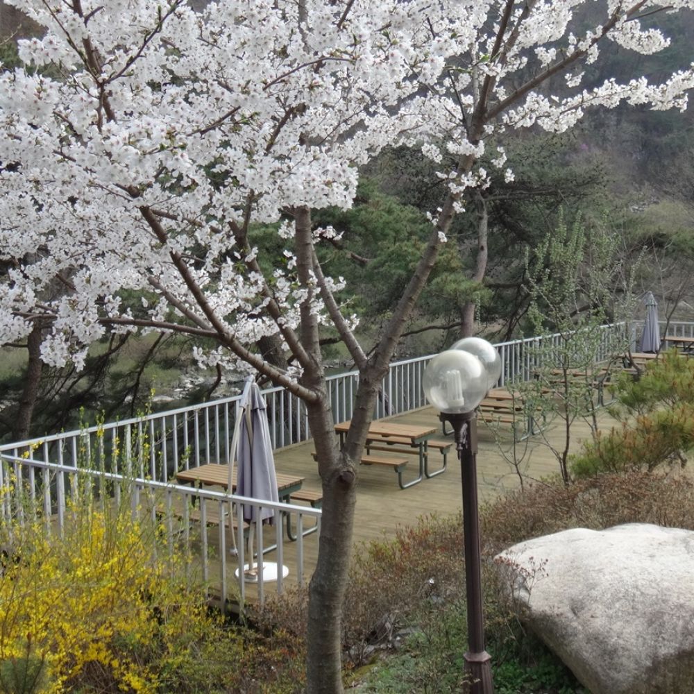 외부전경